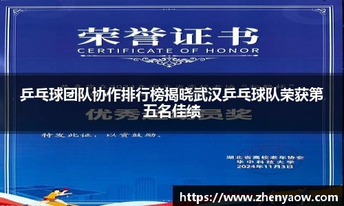 乒乓球团队协作排行榜揭晓武汉乒乓球队荣获第五名佳绩