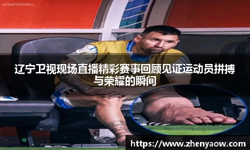 辽宁卫视现场直播精彩赛事回顾见证运动员拼搏与荣耀的瞬间