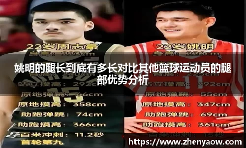 姚明的腿长到底有多长对比其他篮球运动员的腿部优势分析